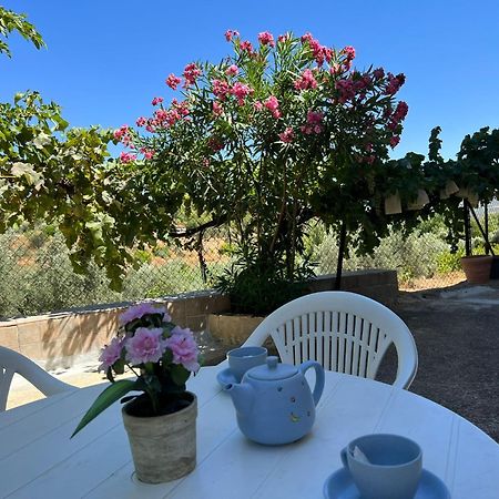 Casa Rural Del Saz Yeste Exteriér fotografie